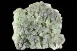 Green, Bowtie Prehnite Crystal Cluster - Morocco #80680-2